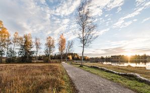 Parkhotel am Soier See - Bild 2