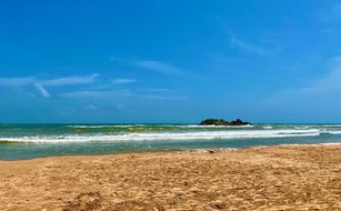 Sun Flower Beach Resort - Bild 2