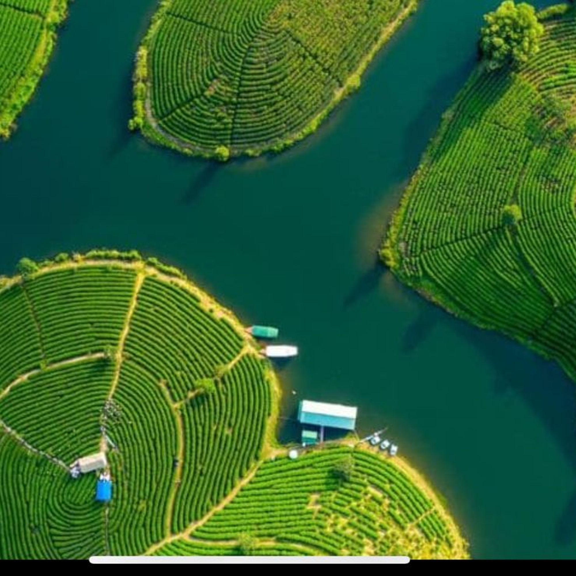 Quang Khôi Medical & Vital Balance Resort.