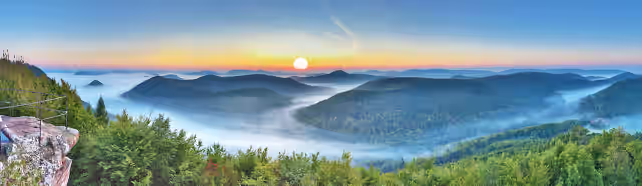 Blick auf den Pfälzer Wald am Morgen