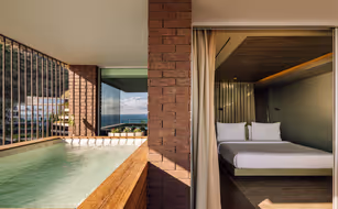 Saccharum - Imagen 5