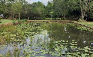 Samaya Waters - Image 4