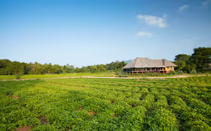 Amuna Ayurveda & Wellness Retreat - Image 3