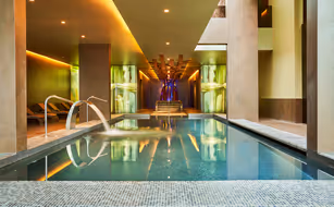 Saccharum - Imagen 4