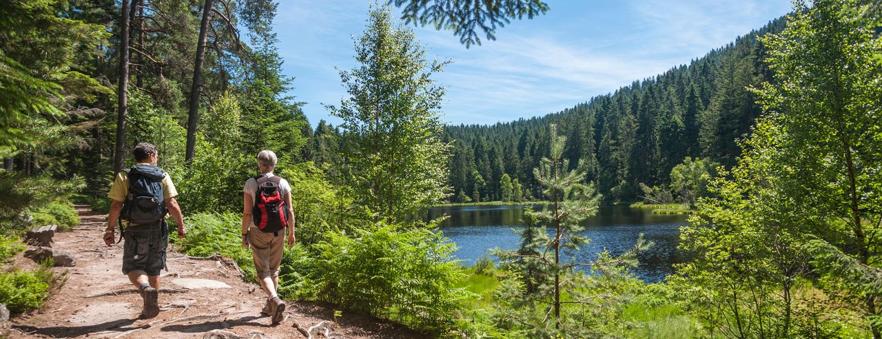 Zwei Wanderer während einem Abnehmurlaub im Schwarzwald