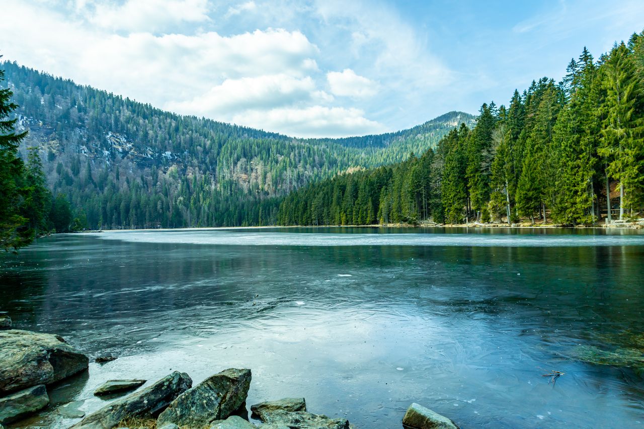 See in Niederbayern