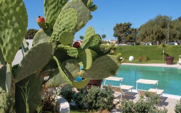 Seawater Hotel Bio & Beauty SPA Marsala - Bild 1
