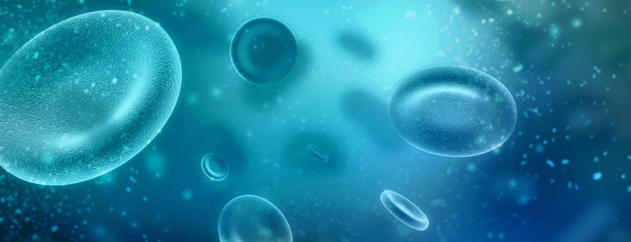 Darstellung von Zellen im Körper