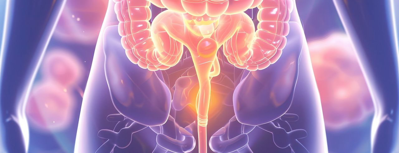 En schematisk bild av en urinvägsinfektion.