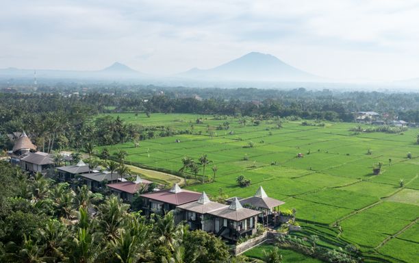 Gdas Bali Health and Wellness Resort - Bild 1