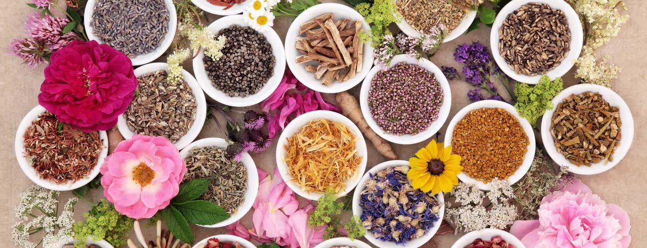 Ayurvedische Gewürze