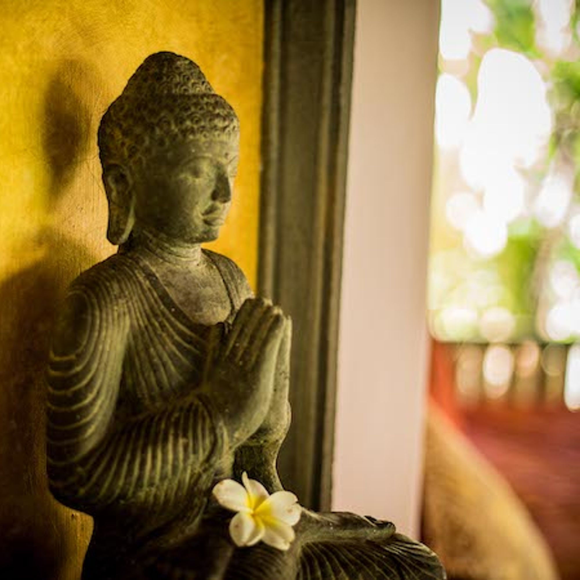 Prana Veda Bali Sanctuary.