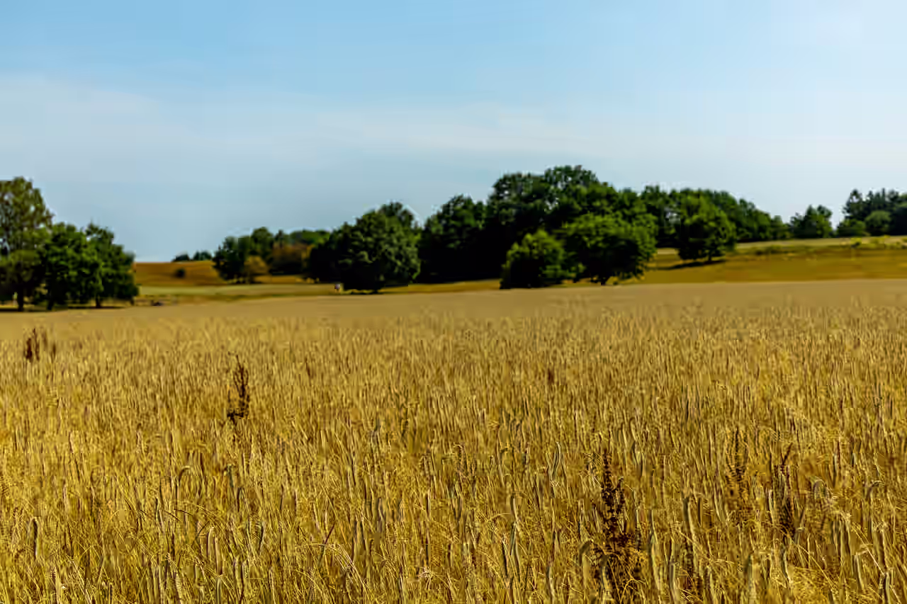 Yoga Wochenende in Niedersachsen