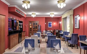 Spa & Wellness Hotel Silva - Afbeelding 3