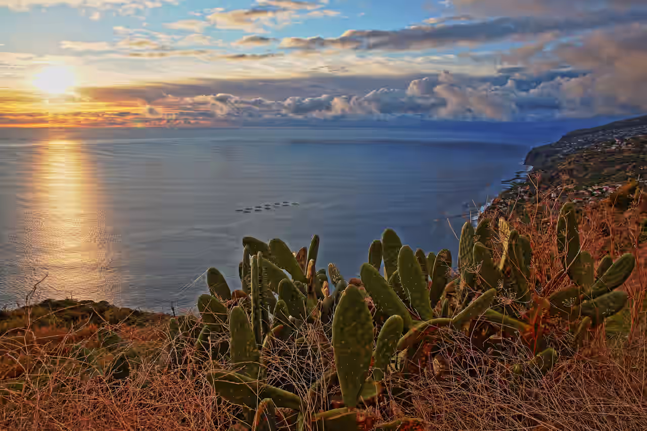 Vista panorámica sobre las montañas con puesta de sol