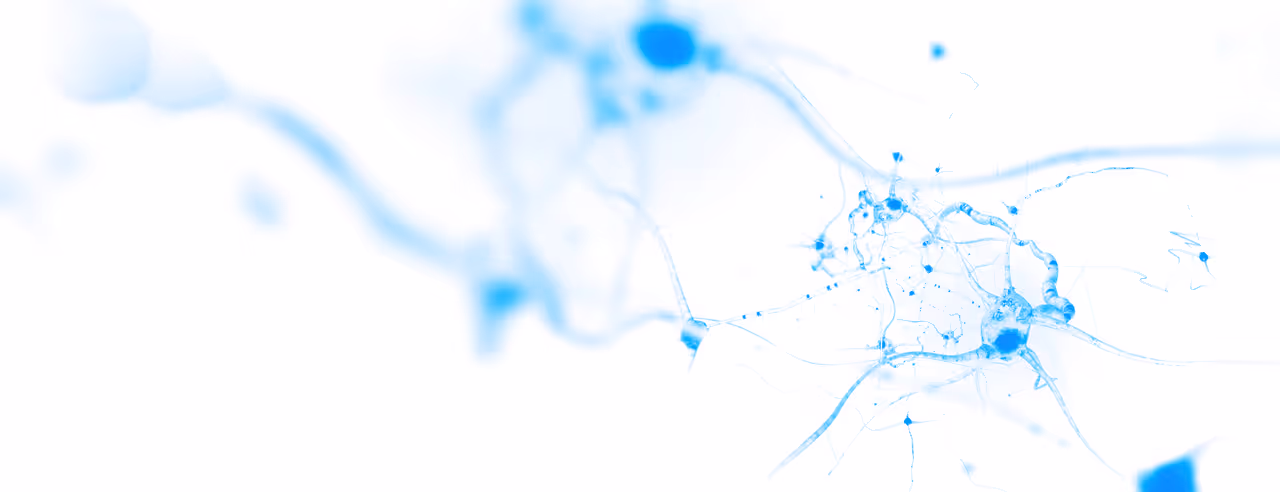 Imagen abstracta de conexiones neuronales azules sobre fondo blanco. Las formas parecen células nerviosas conectadas por finas fibras que se extienden en un patrón fluido y orgánico. 