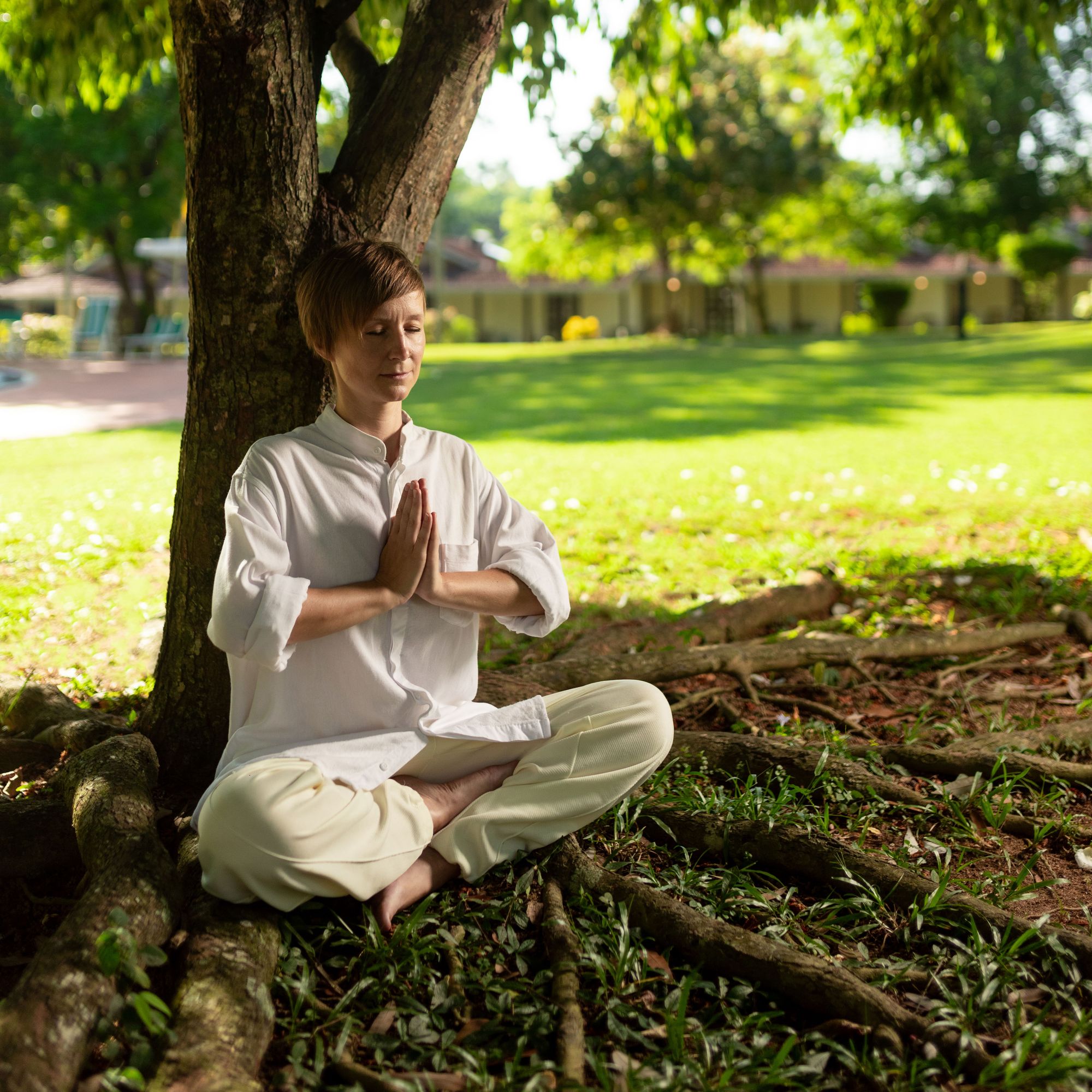 Tamarind Tree Garden Resort.