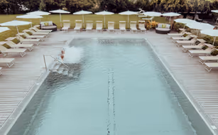 theiner's garten - das biorefugium - Bild 4