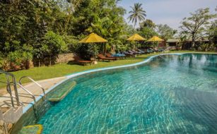 Yasmin Hill Longevity Oasis - Bild 2