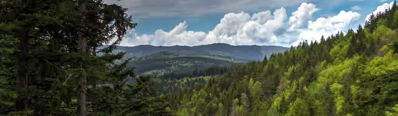 Wochenendtrips in den Schwarzwald