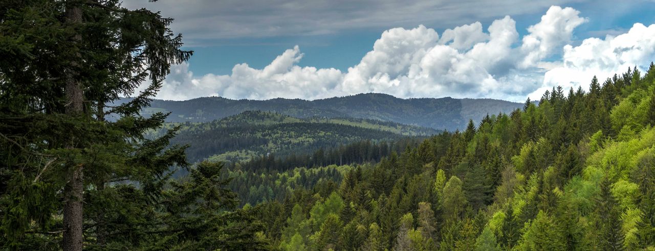 Wochenendtrip in den Schwarzwald