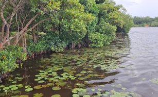 Samaya Waters - Image 2