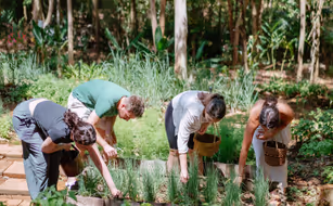 Na Sook Wellness Resort - Bild 5
