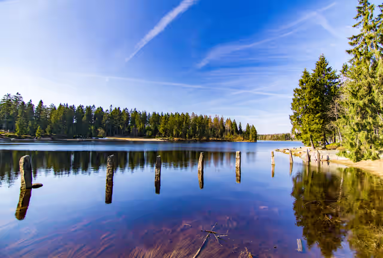 Oderteich im Harz umgeben von Bäumen unter blauem Himmel