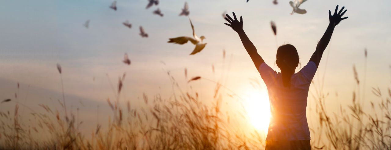 A woman stands in a field and stretches her arms upwards full of serenity. In the background, the sun is rising and birds are flying.