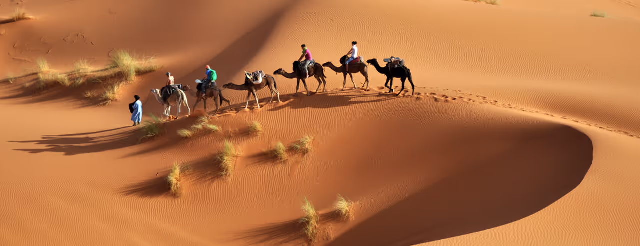 Kamel Tour