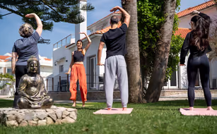 Silver Seahorse - Image 5