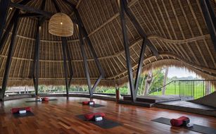 Gdas Bali Health and Wellness Resort - Afbeelding 4