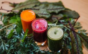 Wilfinger Ring Bio Hotel Hartberg - Bild 4