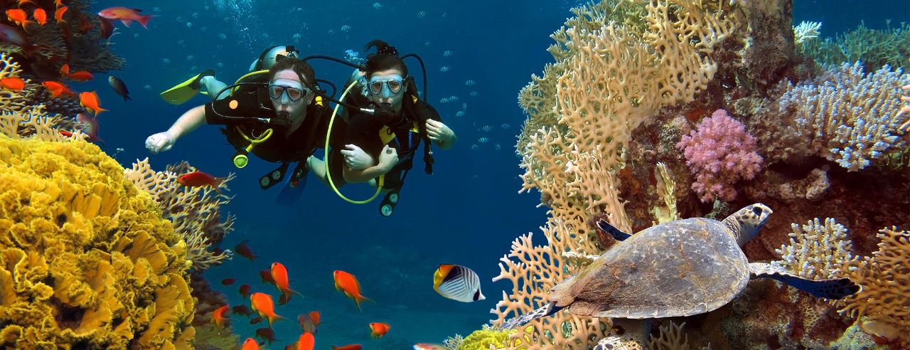 Zwei Taucher Unterwasser zwischen einem Korallenriff