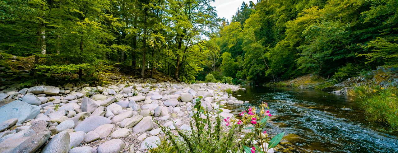 Landschaft in Baiersbronn