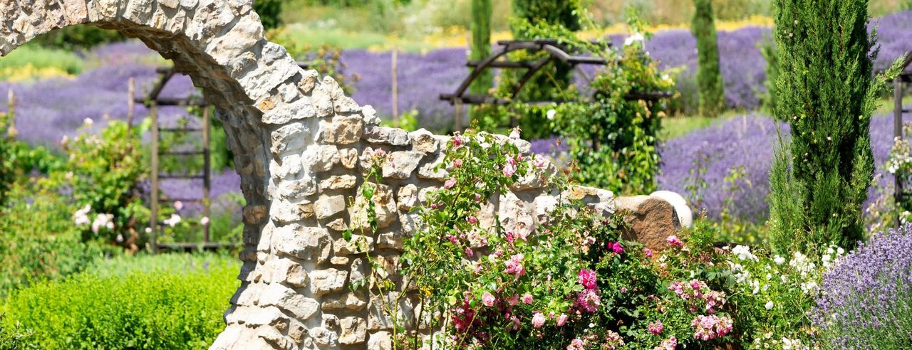 Kräuter- und Apothekergärten