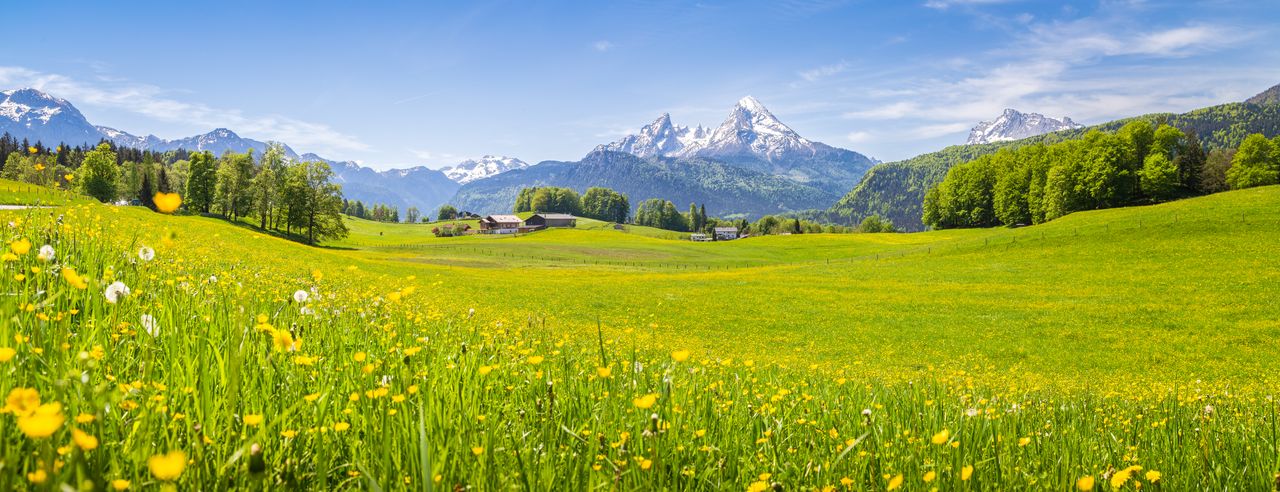 Blick über die Wiesen des Berchtesgadener Landes auf die Alpen