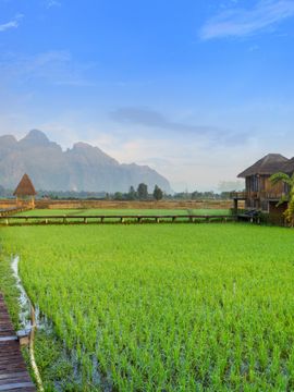 mekong tour kambodscha